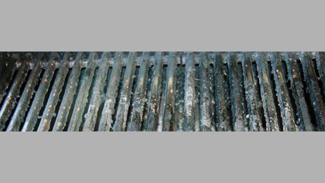 La meteorología no ha favorecido las barbacoas alemanas