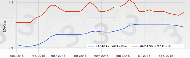 Precios del cerdo en España y Alemania desde enero a agosto de 2015