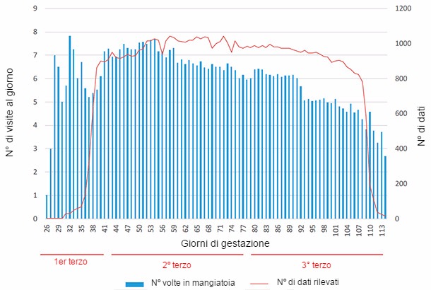 Frequenza giornaliera di visite in funzione della fase di gravidanza