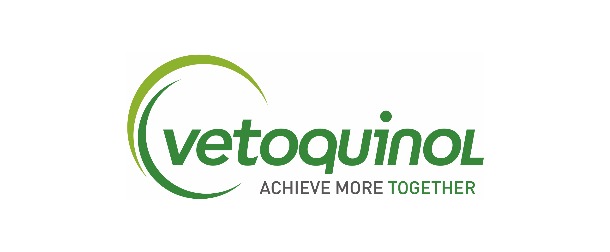 vetoquinolù