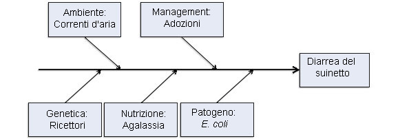 Modello di 5 fattori produttivi come cause di colibacillosi