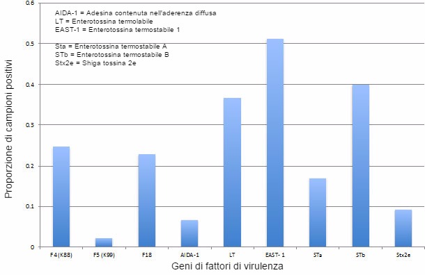 Prevalenza dei fattori di virulenza di E. coli