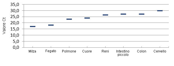 Distribuzione del virus in PCR cuantitativa nei tessuti di suinetti infetti da ETNL