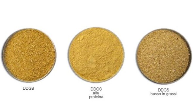 Figura 2. Adattato da www.alibaba.com