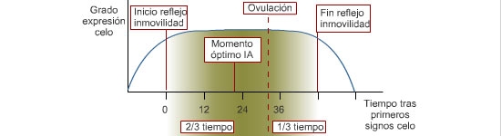 Protocolli di copertura