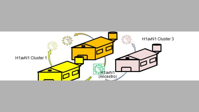 Heterogenicidad genética y antigénica relacionada con la granja