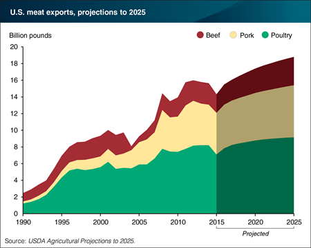 Prévisions export viande USA