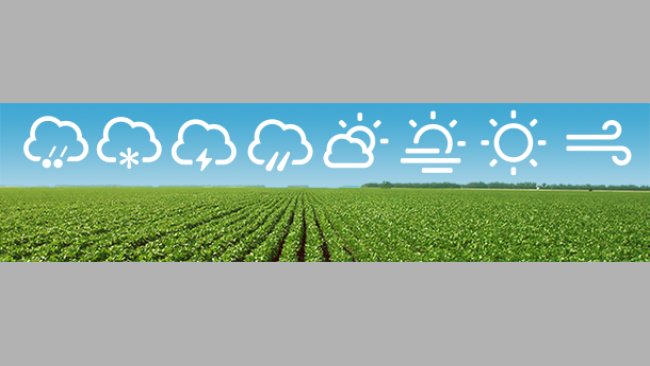 Weather Market