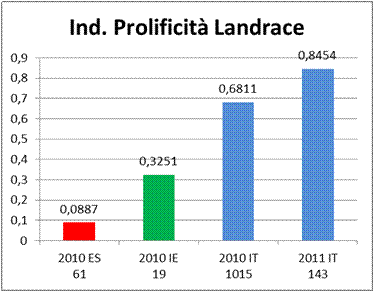 landrace