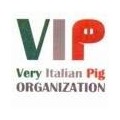 vip