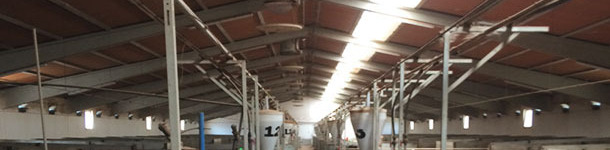 Nave de gestación confirmada con colocación longitudinal de la parte translúcida