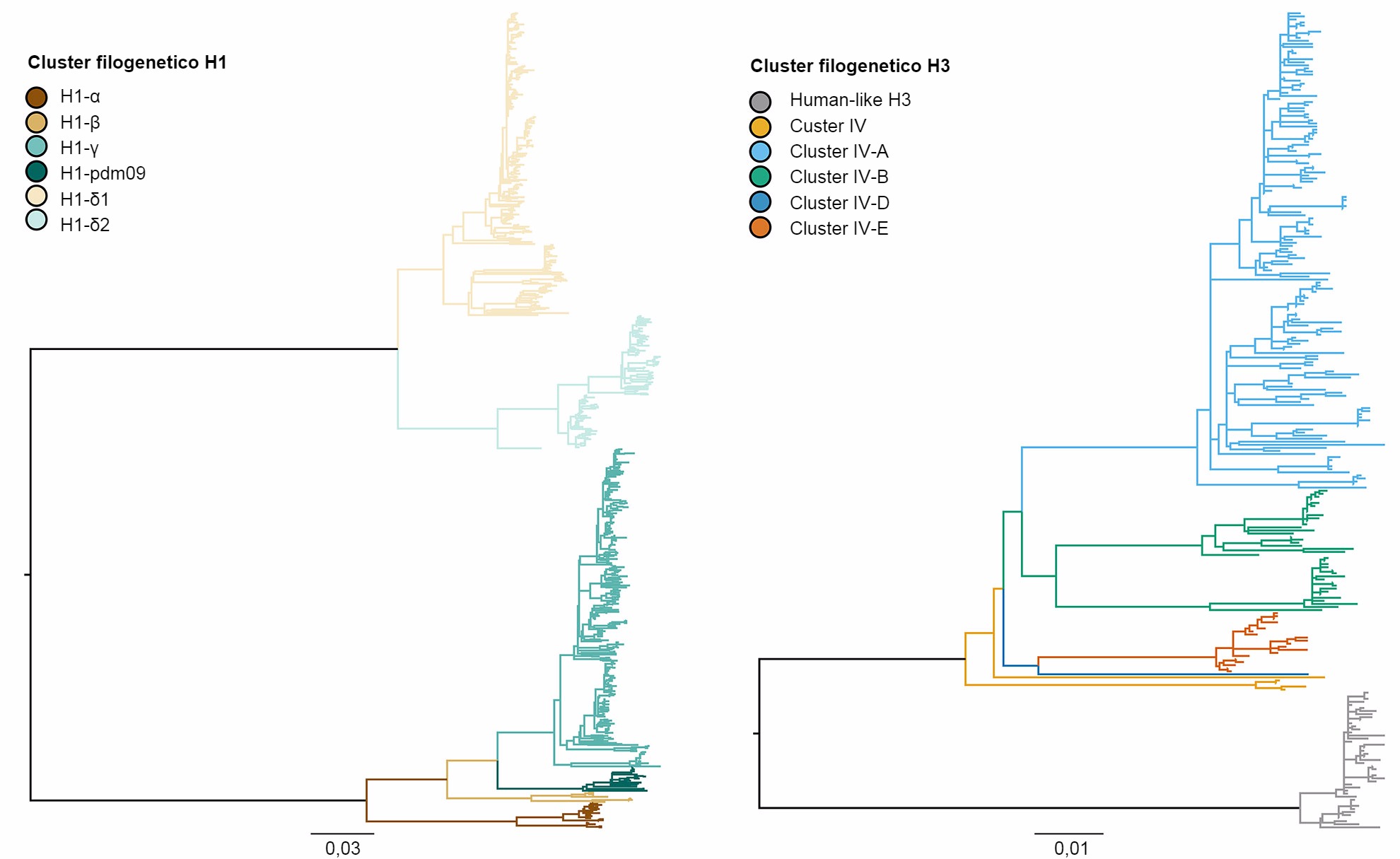 Albero filogenetico che descrive le relazioni genetiche tra le sequenze di emaglutinine HA dell' Influenza A suina H1 e H3 del 2015