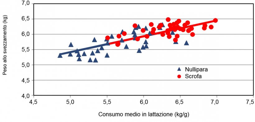 Peso della figliata allo svezzamento secondo il consumo medio della scrofa in lattazione
