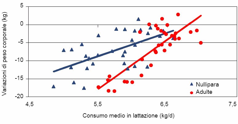 Variazioni del peso corporale delle scrofe adulte e primipare secondo il consumo medio durante la lattazione
