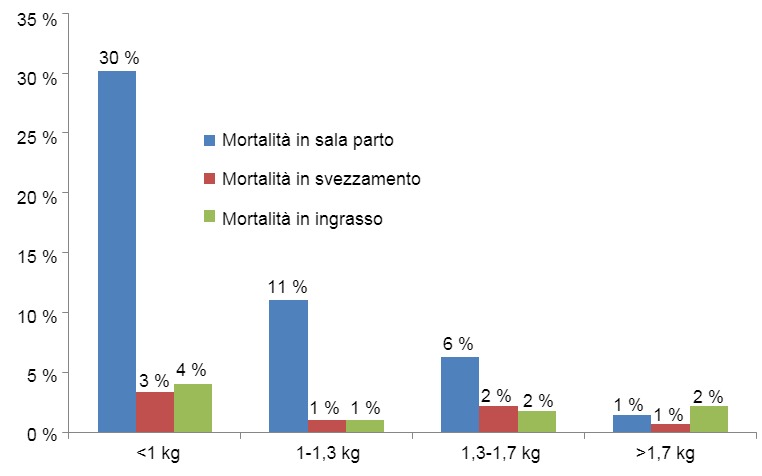 Mortalit&agrave; per ogni categoria di peso per fase produttiva
