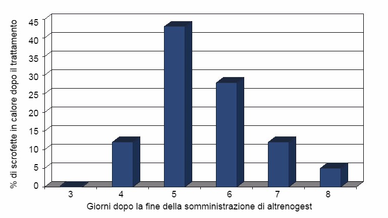 % di scrofette in calore dopo  il trattamento con 18 giorni con altrenogest