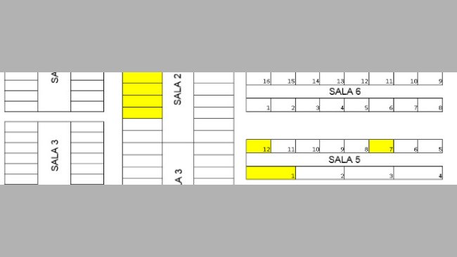 Disegno dell'allevamento. I box contenenti i suinetti orecchinati sono in giallo