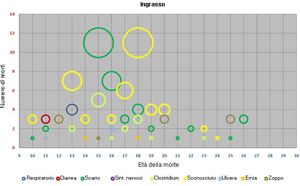 età ingrasso verde giallo