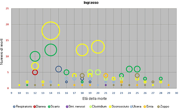 ingrasso morte età