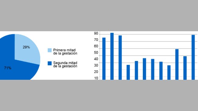 The pie chart represents the percentage of abortion in the first and second stage of pregnancy, respectively. The bar chart represents the seasonality of abortions.