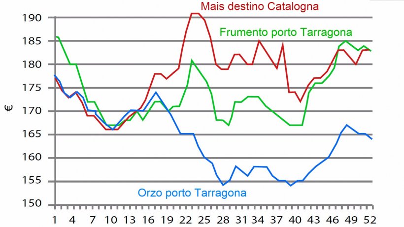 Grafico 1. Evoluzione&nbsp;settimanale del prezzo del frumento, mais ed orzo nel 2016. Fonte: Mercato di Barcelona.
