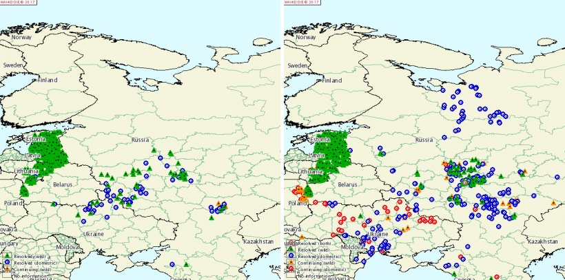 Focolai di PSA in Russia ed Ucraina nel 2015 e 2016.
