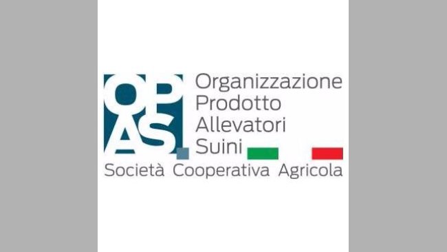 opas 1
