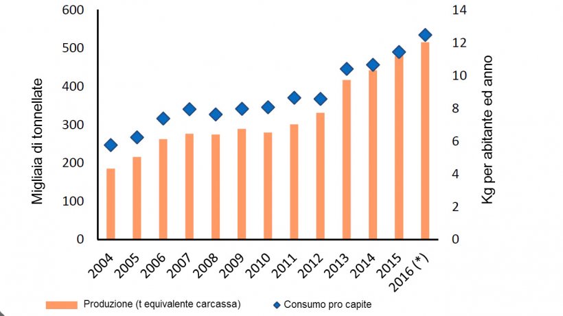 Evoluzione della produzione e consumi di carni suine in Argentina.
