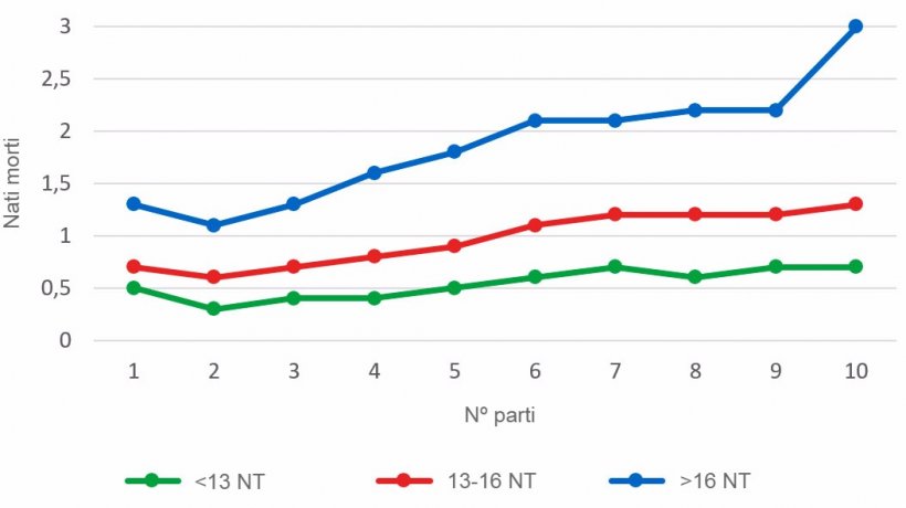 Grafico&nbsp;3: Media di suinetti nati morti secondo l&#39;ordine di parto per le figliate con meno di 13, tra 13 e 16 e oltre 16 suinetti nati &nbsp;totali&nbsp;(NT). L&#39;analisi si basa su 93.896 parti di scrofe iperprolifiche tra ottobre 2014 e settembre&nbsp;2016
