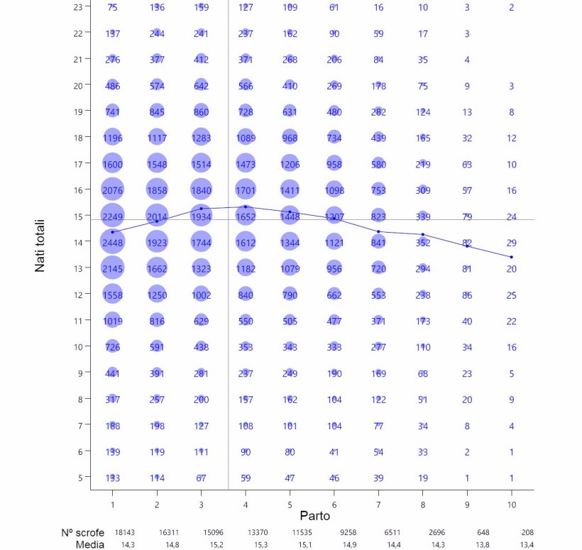 Grafico&nbsp;1: Media di suinetti nati totali per numero di parto de 93.896 scrofe iperprolifiche tra ottobre 2014 e settembre 2016
