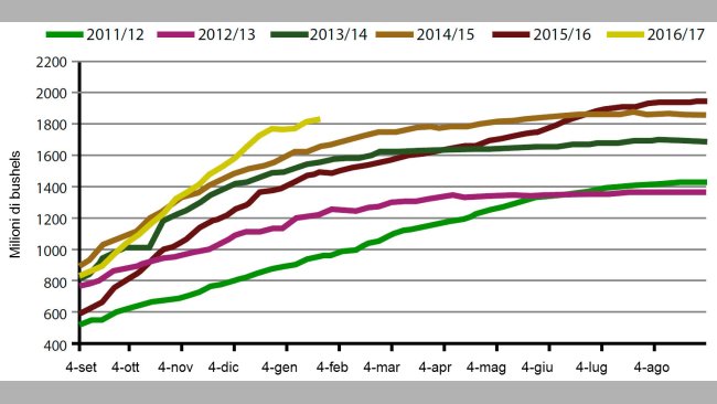 Grafico 1. Volumi settimanali delle esportazioni di semi di soia USA, campagna attuale e le cinque precedenti. Fonte: USDA.