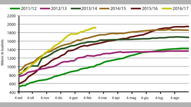 Grafico 3. Volume settimanale di export di soia USA nella campagna attuale e nelle 5 precedenti (milioni di bushels). Fonte: USDA
