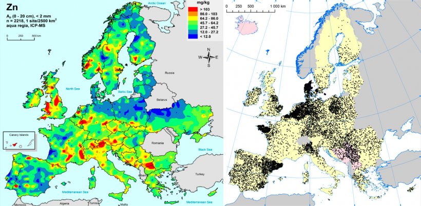 A sinistra: Zinco nei terreni agricoli della UE (Gemas 2014): Livelli di zinco sulla superficie dei suoli (20 cm superiori) nei terreni agricoli in Europa (preso da Reimann et al., 2014). A destra: Allevamenti di suini nella UE (Eurostat, 2014).
