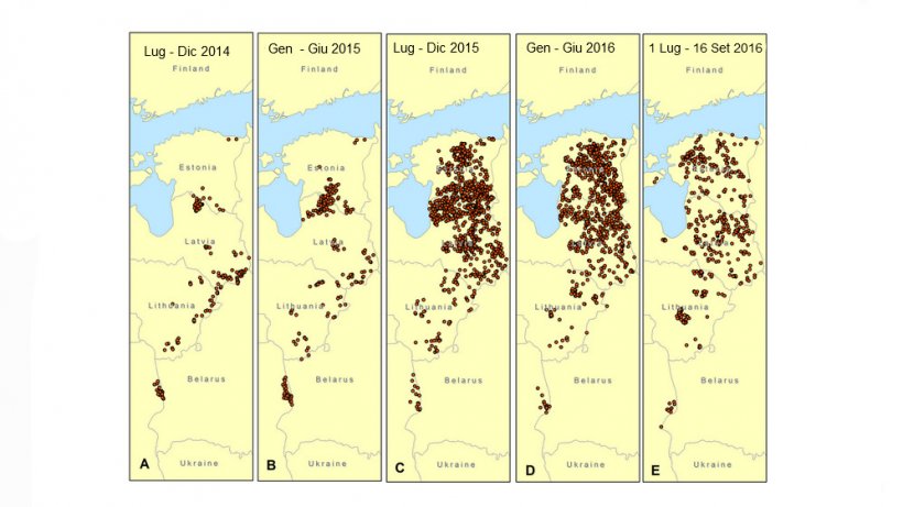 Evoluzione della PSA nei cinghiali negli Stati Baltici ed in Polonia da luglio 2014 a settembre 2016
