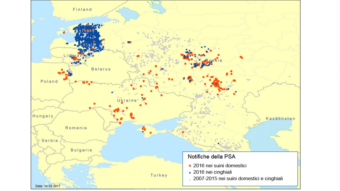 Notifiche di focolai di PSA nelle regioni dellEst Europa nel 2007–2016