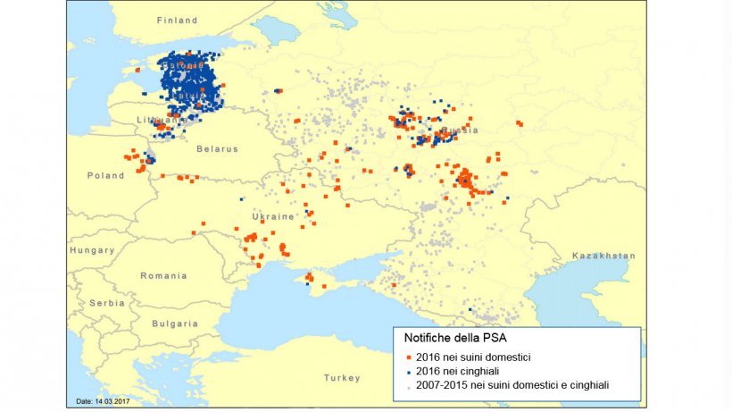 Notifiche di focolai di PSA nelle regioni dell&#39;Est Europa nel 2007&ndash;2016
