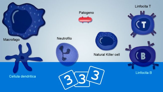 Scopri l'immunologia nella 3tre3