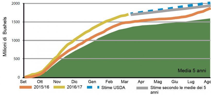 Figura 6: Volume settimanale degli export accumulati di sementi di soia&nbsp;USA, campagna attuale e medie precedenti. Fonte: USDA
