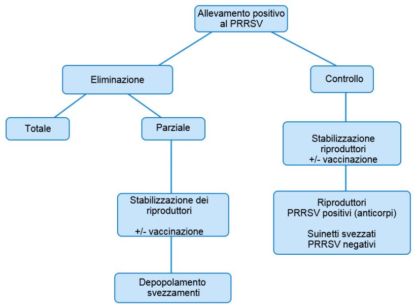 Figura 1. Vista esquemática de los distintos planteamientos en granjas PRRSV positivas