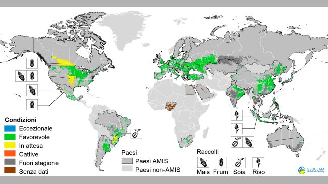 Figura 2. Condizioni dei raccolti nei paesi AMIS (al 28 di marzo). Fonte GEOGLAM