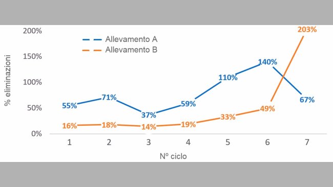 Grafico 1. % di scrofe eliminate per nº di ciclo (nº scrofe eliminate per ciclo/numero medio di scrofe per ciclo) nel 2016
