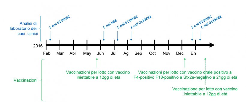 Immagine 1: Analisi di laboratorio dei casi clinici&nbsp; e calendario delle vaccinazioni
