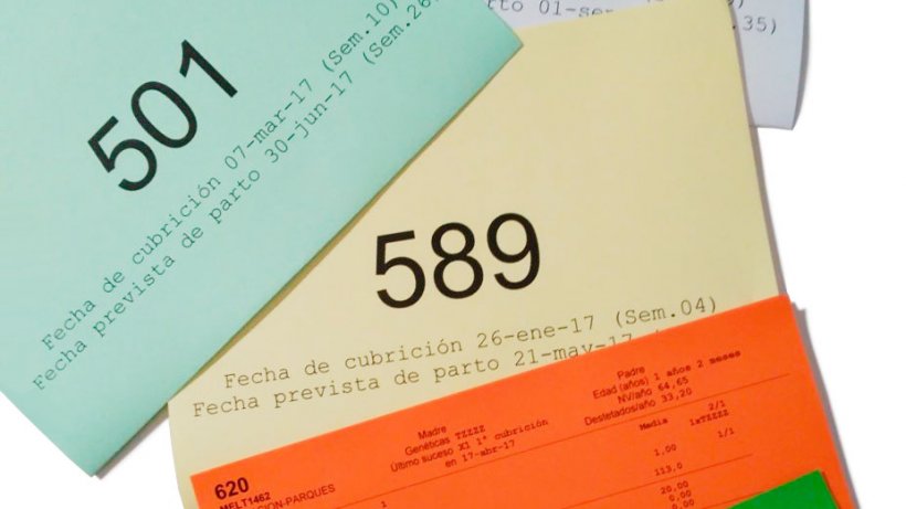 Esempio di colori nelle schede per ciclo produttivo
