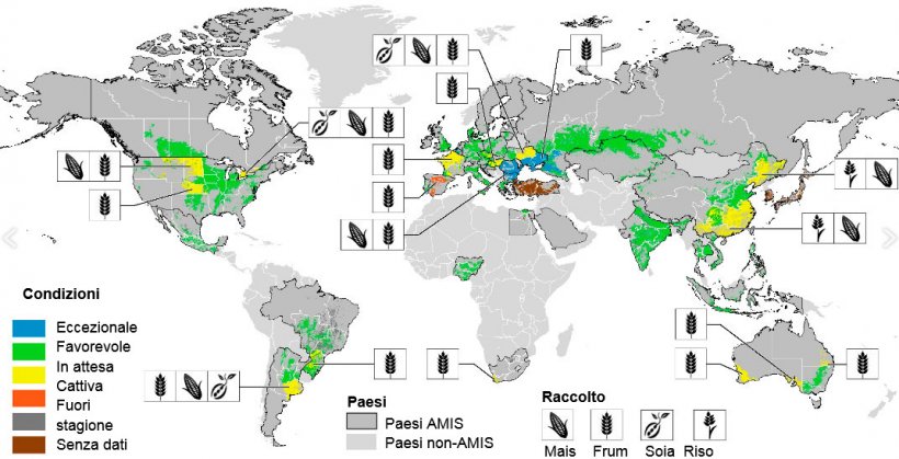 Immagine 1. Mappa delle condizioni delle coltivazioni nel mondo. Aggiornato a luglio 2017. Fonte GEOGLAM.

