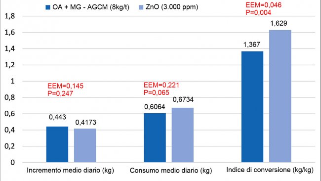 Figura 1. Effetti della sostituzione del ZnO (3.000ppm) con una miscela di acidi organici e monogliceridi di acidi grassi a media catena (OA+MG-AGCM, 8kg/t) nella fase starter nei suinetti (8 repliche/trattamento, 12 suinetti per replica). Il modello includeva il trattamento, la dimensione dei suinetti all&#39;nizio (P&lt;0,001 per il peso finale e l&#39;accrescimento) e la loro interazione (P&gt;0,05). EEM=errore standard dalla media.
