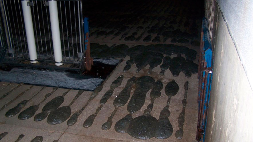 Formazione di schiuma sotto il grigliato.