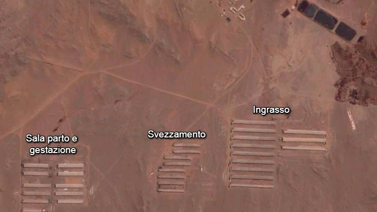 Cartina dellallevamento