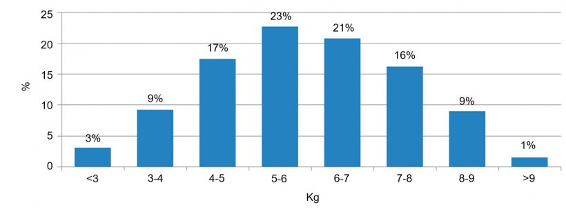 Figura 2. Distribuzione degli animali in base al peso all&#39;ingresso dello svezzamento. La differenza tra il 5% dei suini con meno peso e il 5% con pi&ugrave; peso &egrave; di 6 kg.
