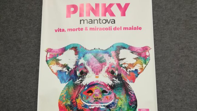pinky mantova 8
