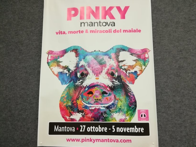 pinky mantova 8